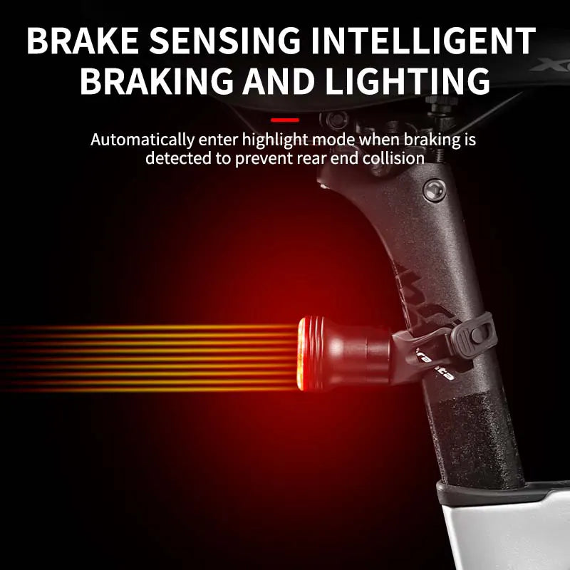 BIKINLITE USB Rechargeable Waterproof Brake Sensing Bicycle Rear Light