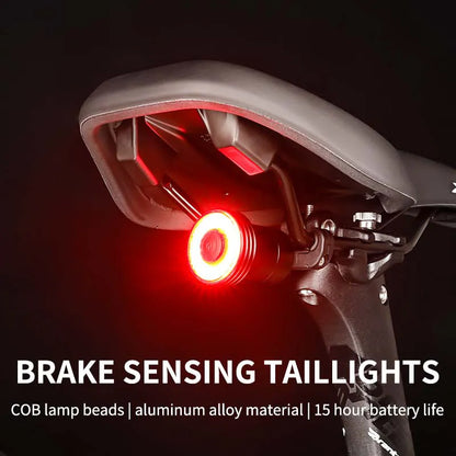 BIKINLITE USB Rechargeable Waterproof Brake Sensing Bicycle Rear Light