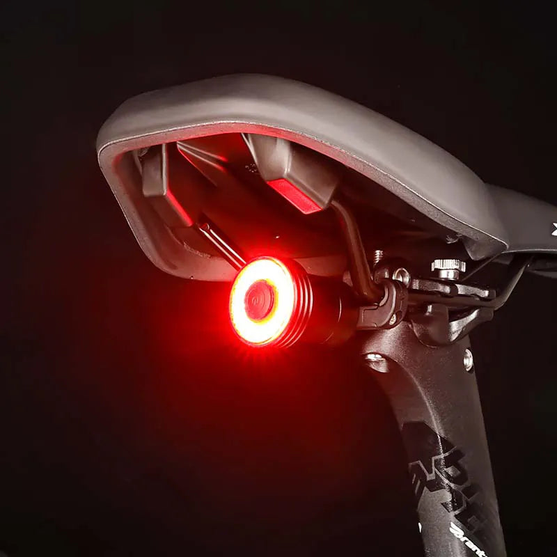 BIKINLITE USB Rechargeable Waterproof Brake Sensing Bicycle Rear Light